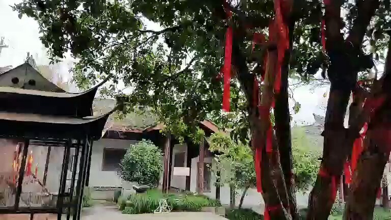 浙江园艺