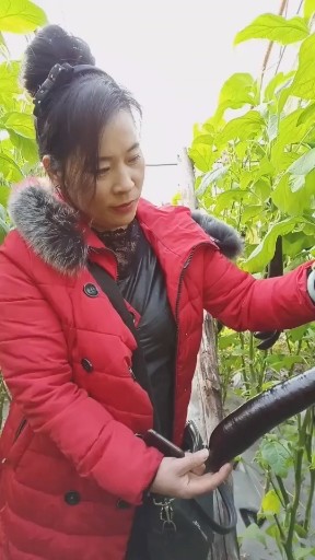 童万强