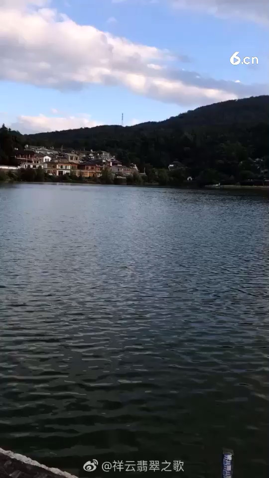 听到这个恶耗 真是晴空霹雳