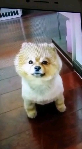 馒头