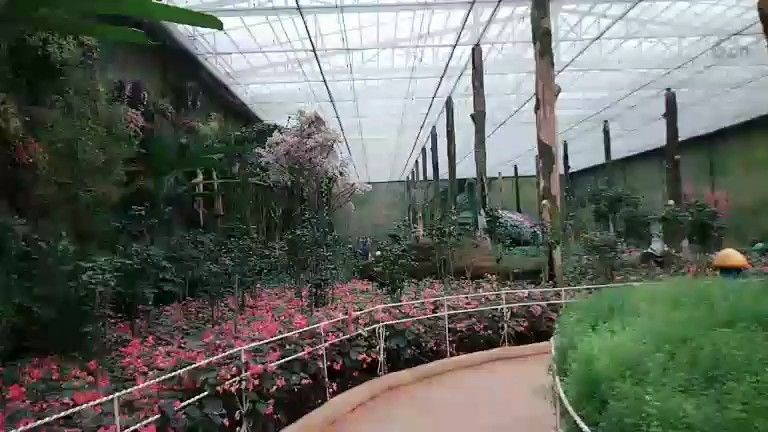 这景区太漂亮了