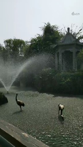 喷泉