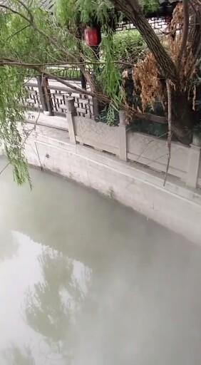 早上的景色不错