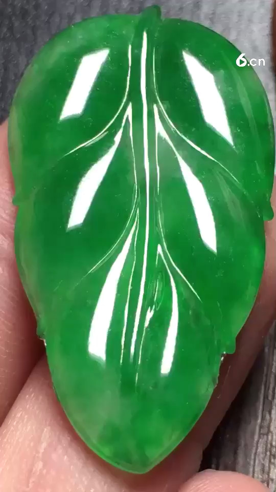 阳绿叶子，种老10000