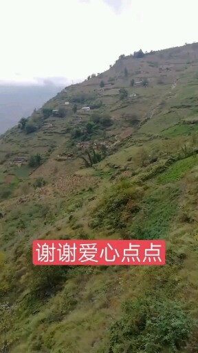 悬崖村
