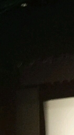 杂艺 骗子
