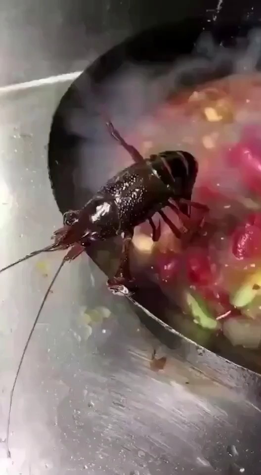坚持就是胜利丶些处要点赞