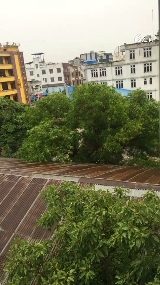 又他妈的下雨了，