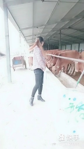 老妹儿
