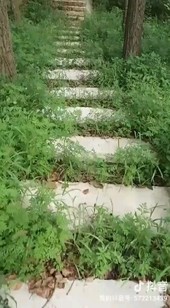 看美女看多了，換個風(fēng)景??