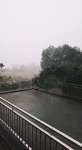 这暴雨说来就来，，