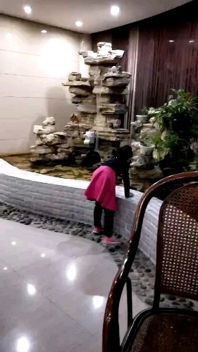 看鱼