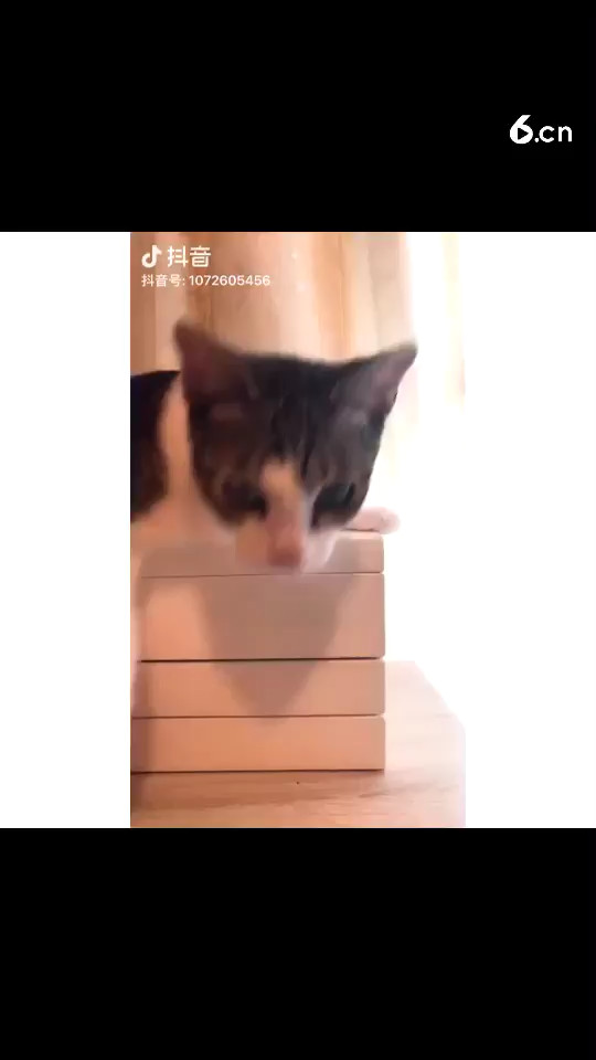 我的第一個*
