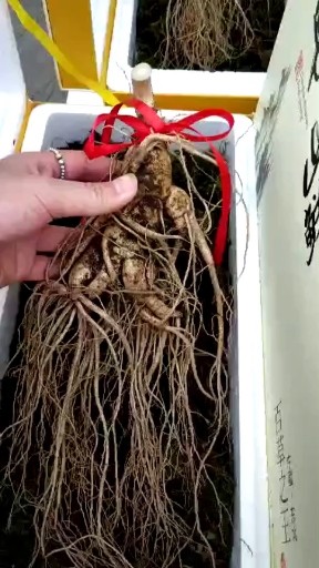 东北特产