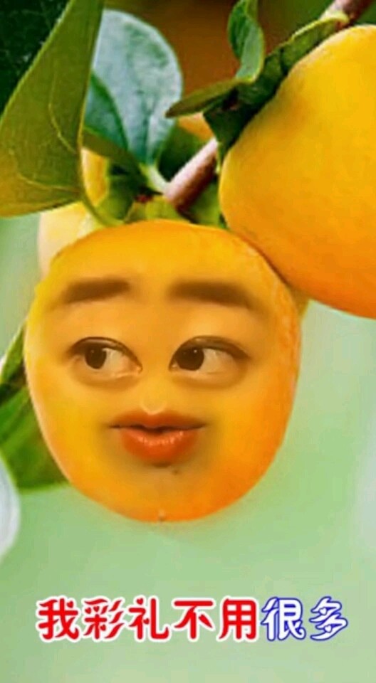 66