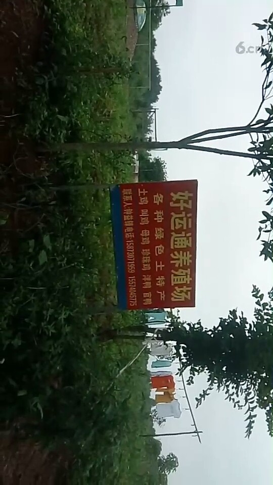 好运通养殖场全绿色产品