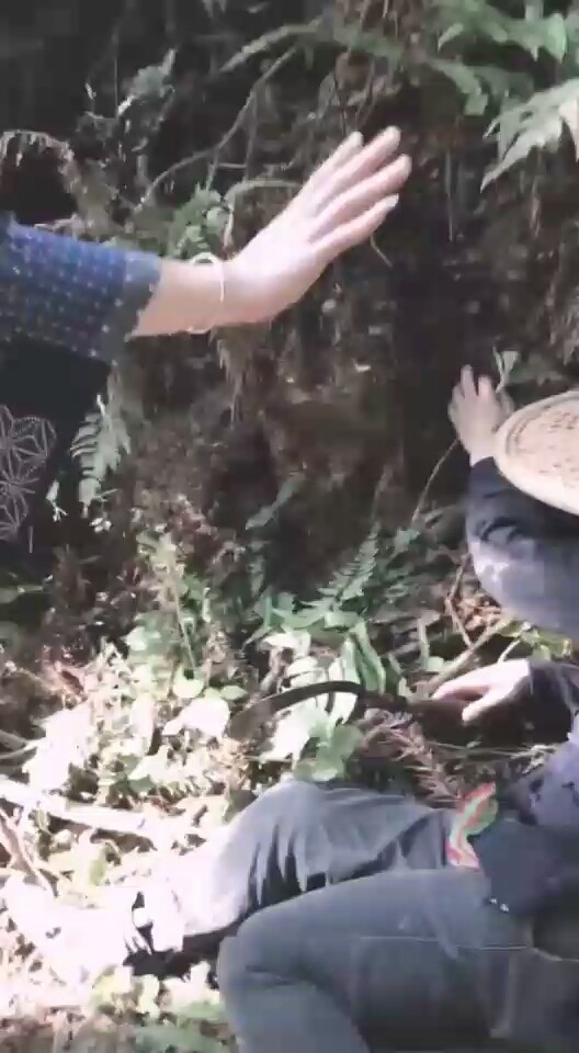 贵州版的杨过之战