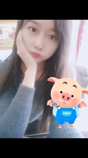 分享一只无聊的🐷