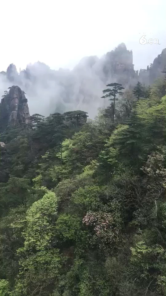 五一安徽黄山旅行