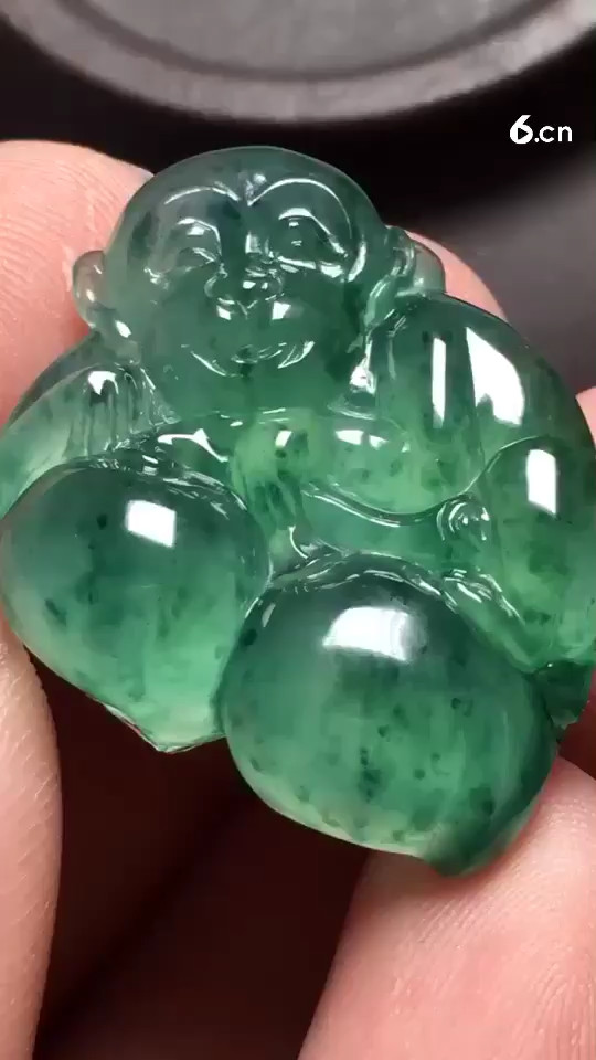 阳绿福豆，种老起