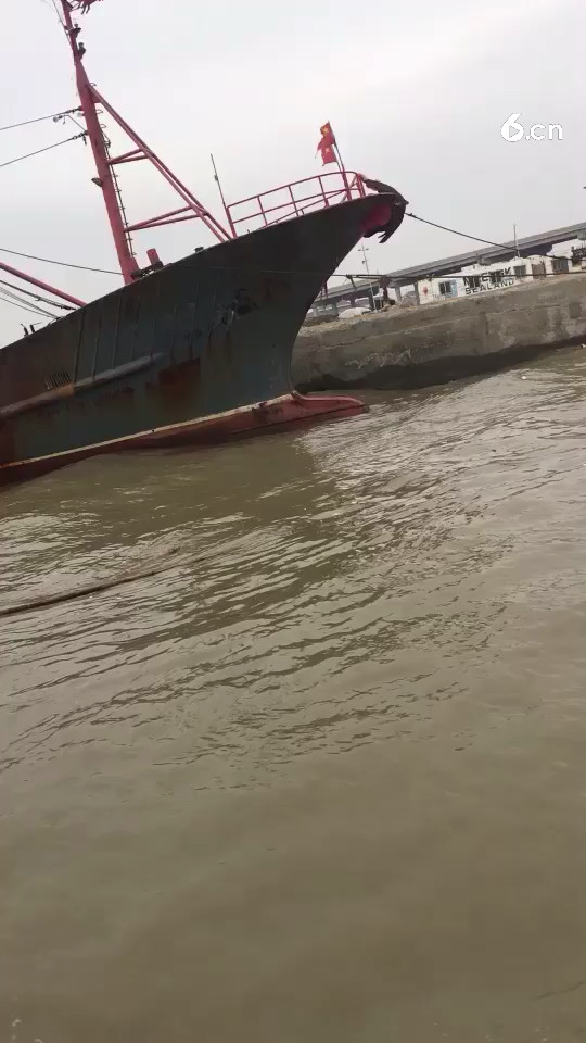 看看这渔船大不？