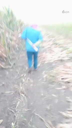 挨浇了吧，很好