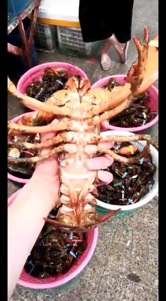 想吃的加微，个性签名有微的