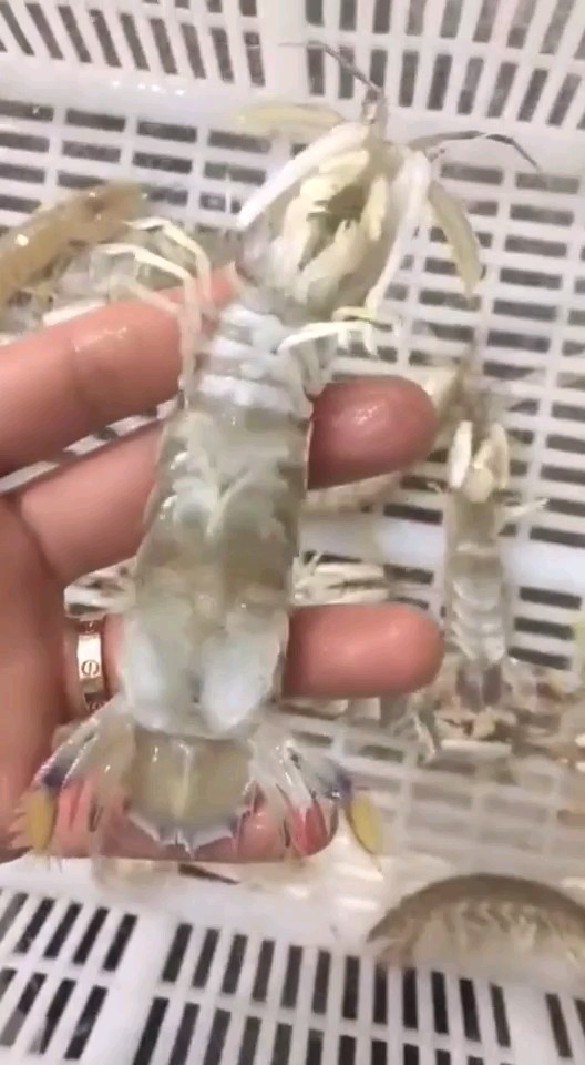 想吃的加微，个性签名有微的