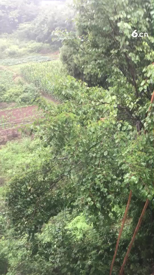 下雨🌧️了雨停了直播