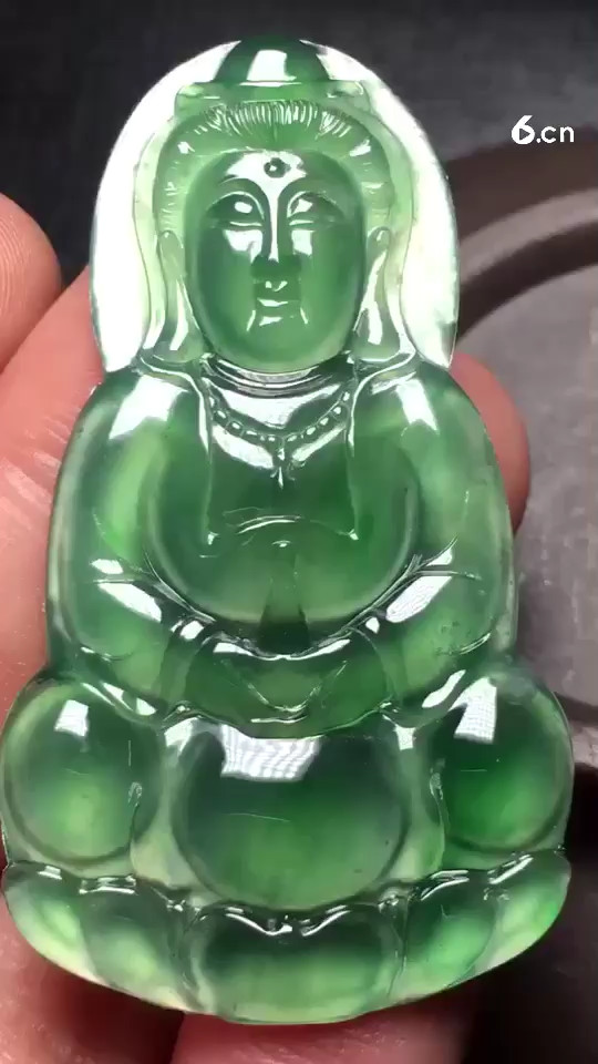 a✨SN7826阳绿观音，种老