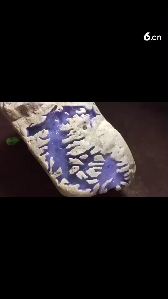 叫价1200万的冰紫！