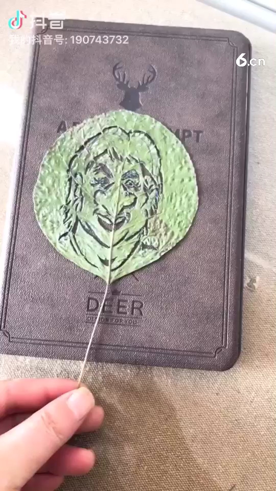 树叶上是谁？