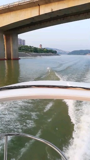 浪你个浪