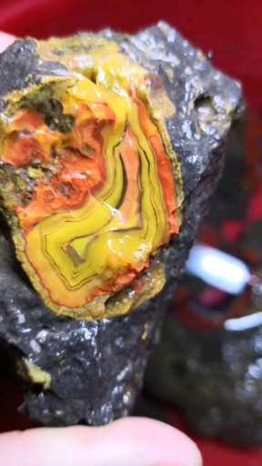 战国红喜欢的老铁关注一下