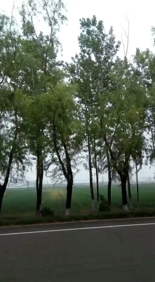 山西运城新绛小聂村席根柱