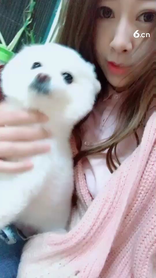 一只小可爱