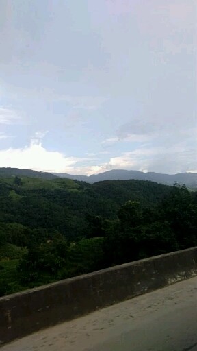 绿