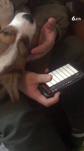 一心只想创作无心直播 明天回来