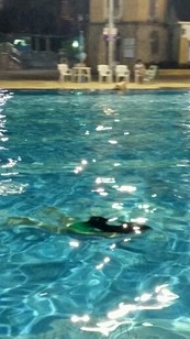 像 🐠 一样自由