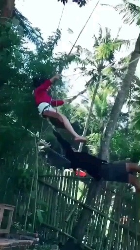 欢乐荡秋千