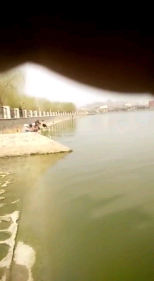 钓鱼了