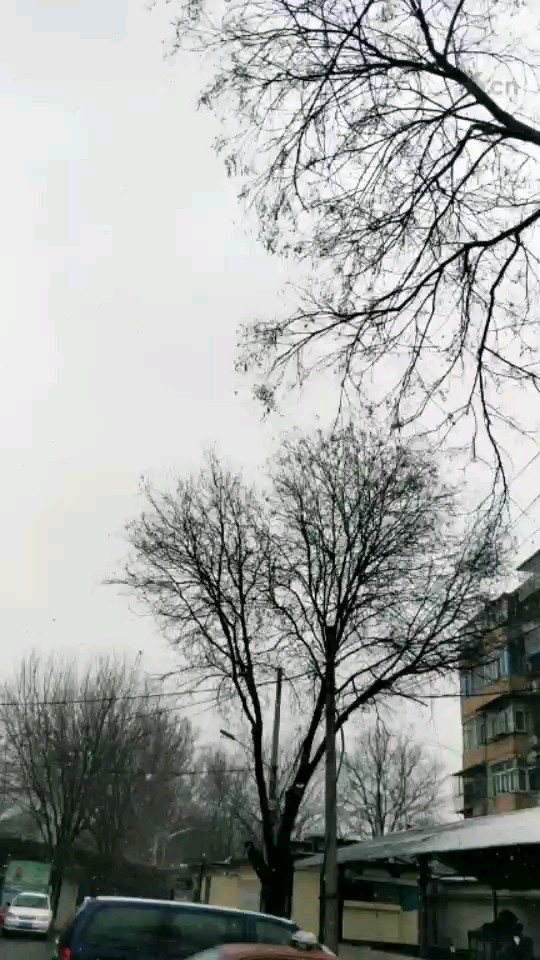 北京终于下雪啦！