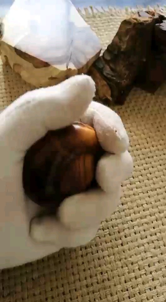 黄花梨手把件。一块木头制作，中