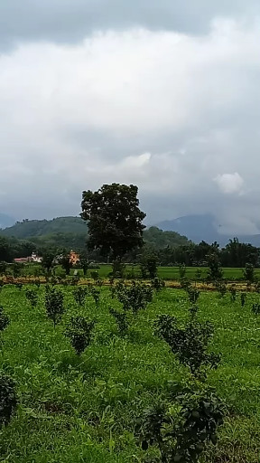 美丽中国云南芒市傣家民族文化