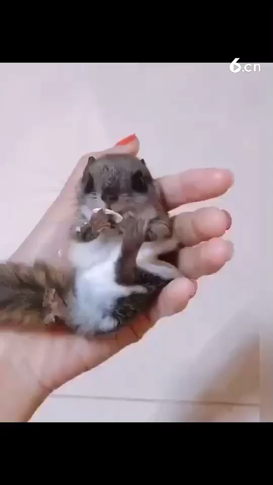 😏