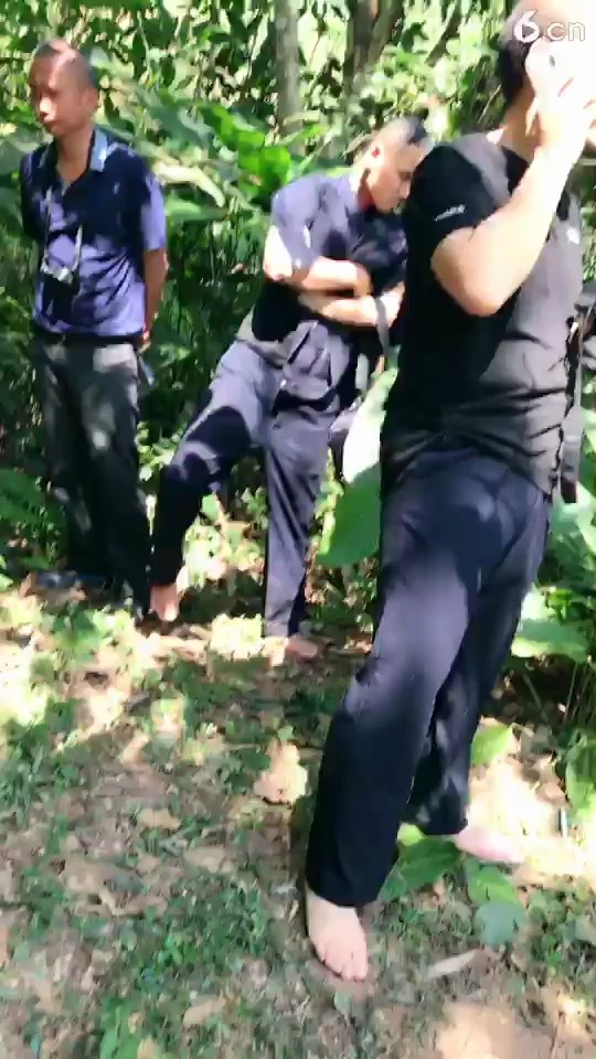 西双版纳