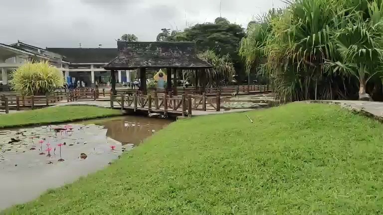 西双版纳热带植物园