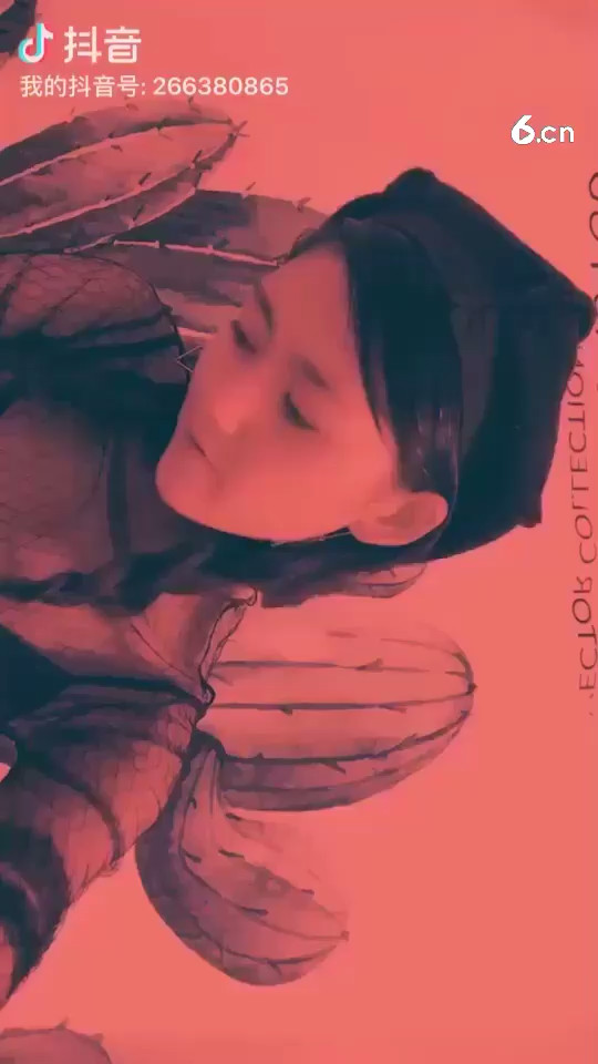 你们都好久没来看我喽哼