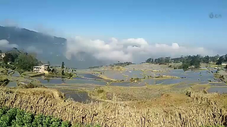 梯田