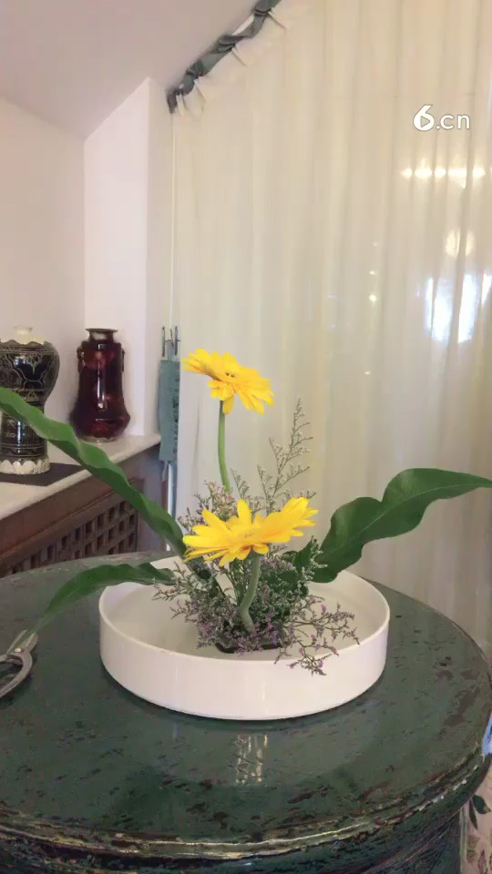 小原流花道公开课